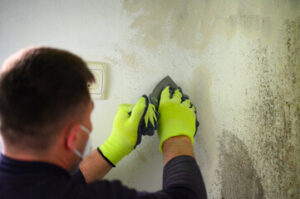 Mold Inspections